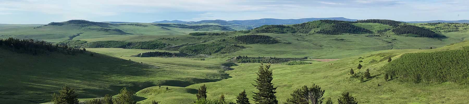 Native Prairie Vegetation Inventory