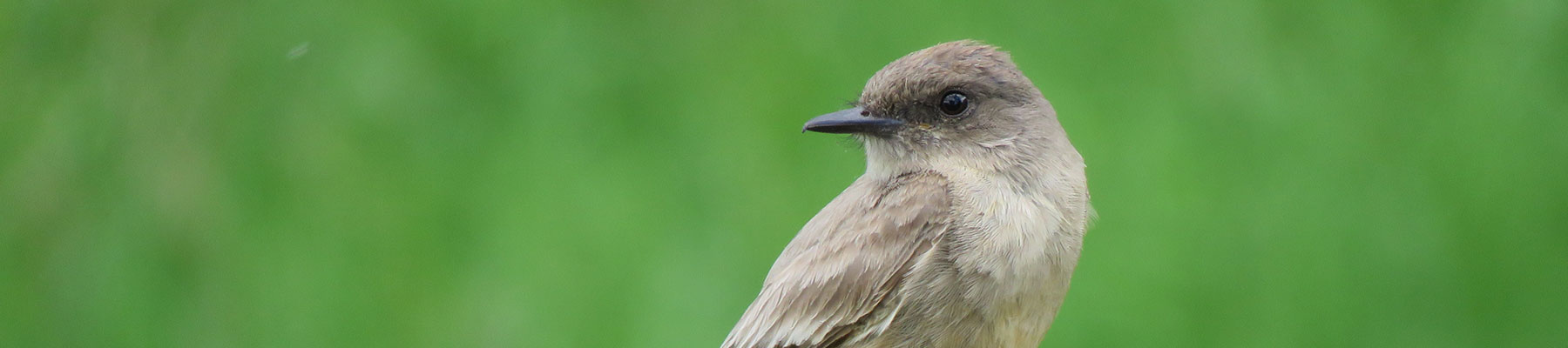 PCF Meetings and Tours