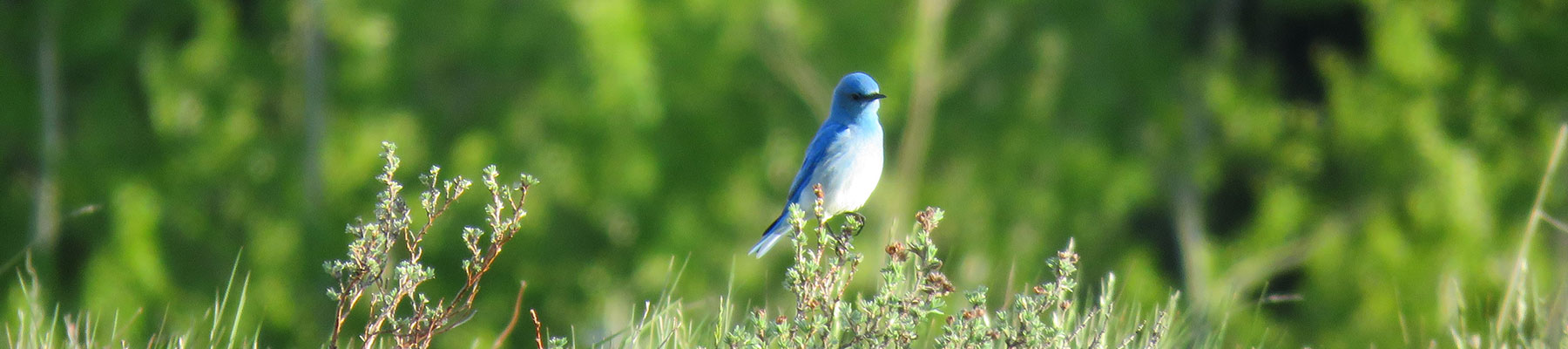 Industry Recommendations & Guidelines