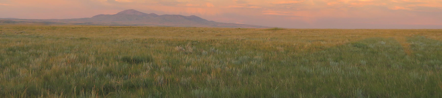 2023 Prairie Conservation & Endangered Species Conference